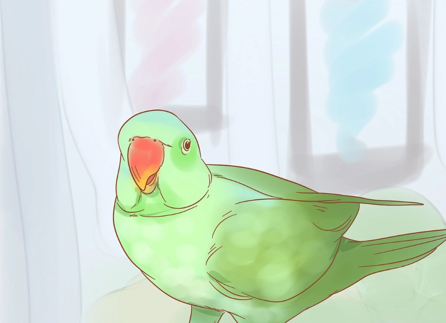 beginner parrot owner guide