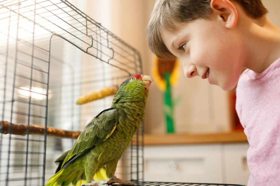 parrot ownership costs parrot ownership costs