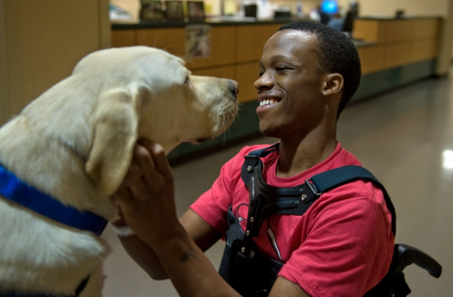 animal assisted therapy salary animal assisted therapy salary