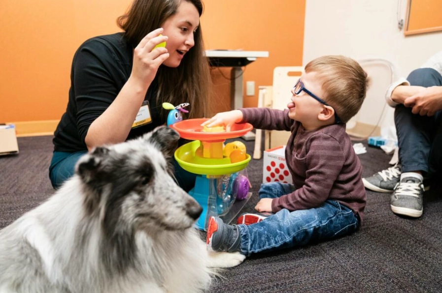 animal therapist salary animal therapist salary