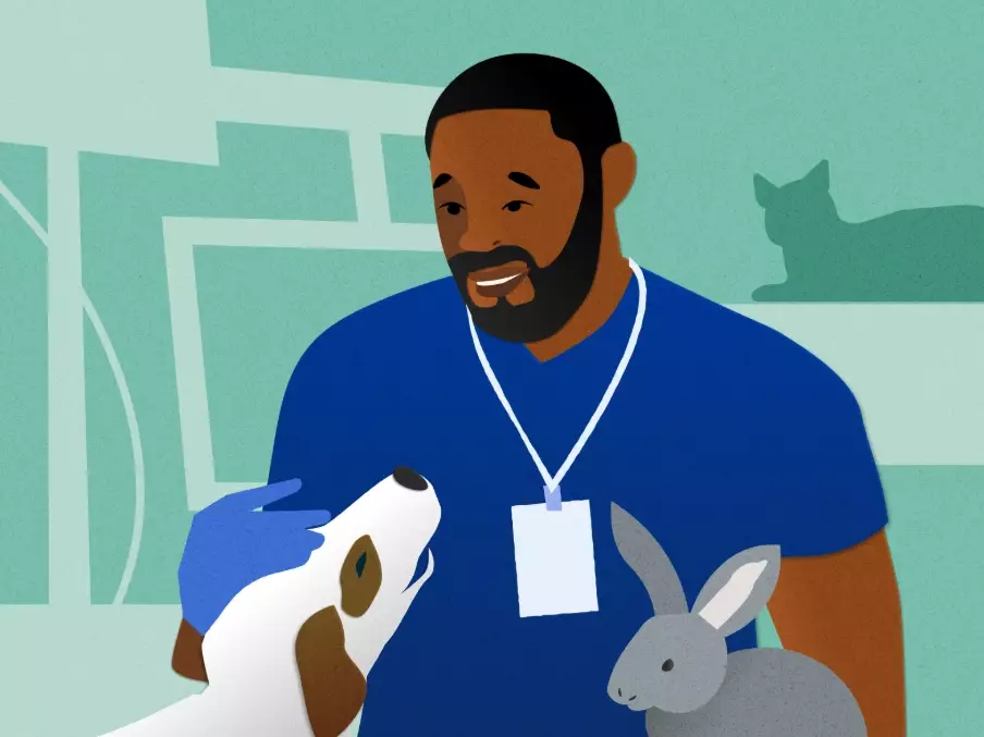 veterinarian career