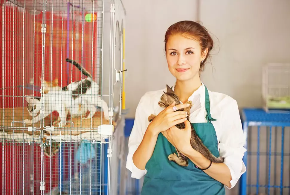 entry level animal care jobs entry level animal care jobs