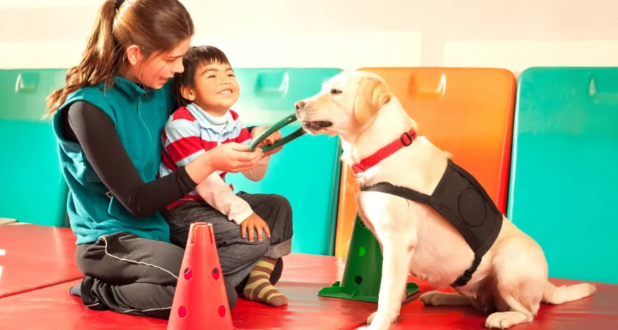 equine assisted therapy salary equine assisted therapy salary