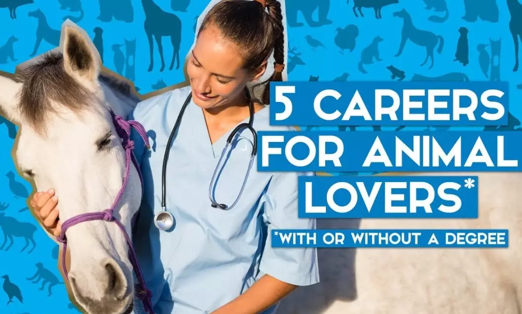 What are five careers that involve animals?