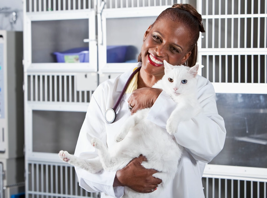 small animal care careers no experience small animal care careers no experience