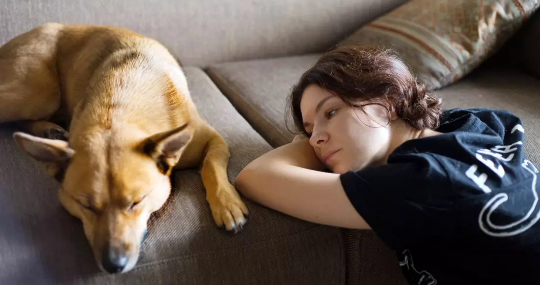 decompression period for pets