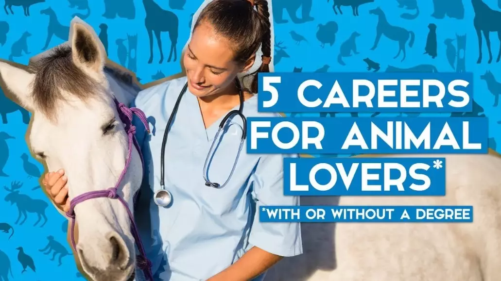 entry level animal jobs entry level animal jobs