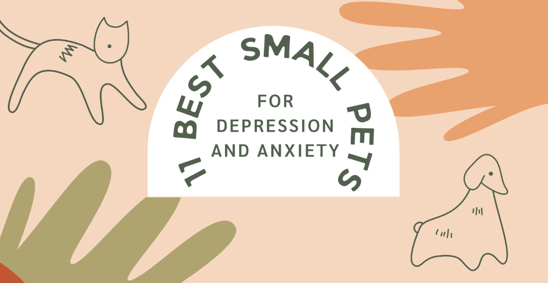 best small pets for anxiety