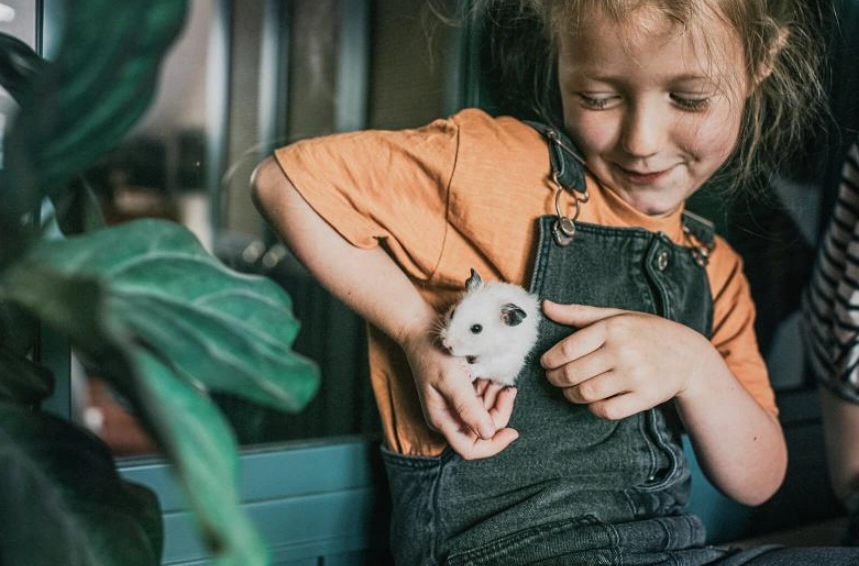 best small pets for handling