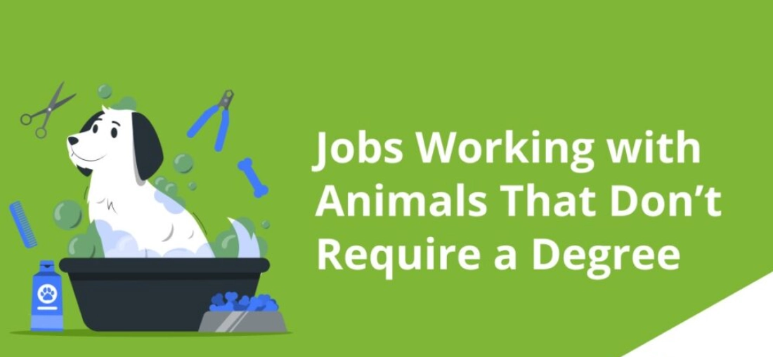 Jobs that work with animals without a degree