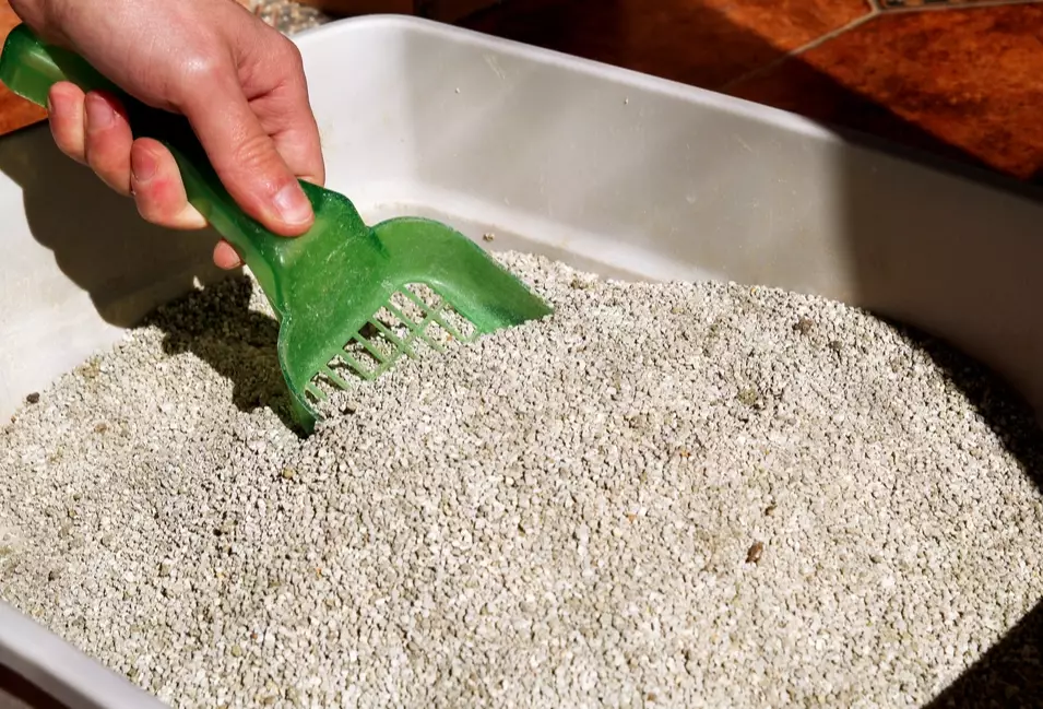 veterinarian recommended cat litter