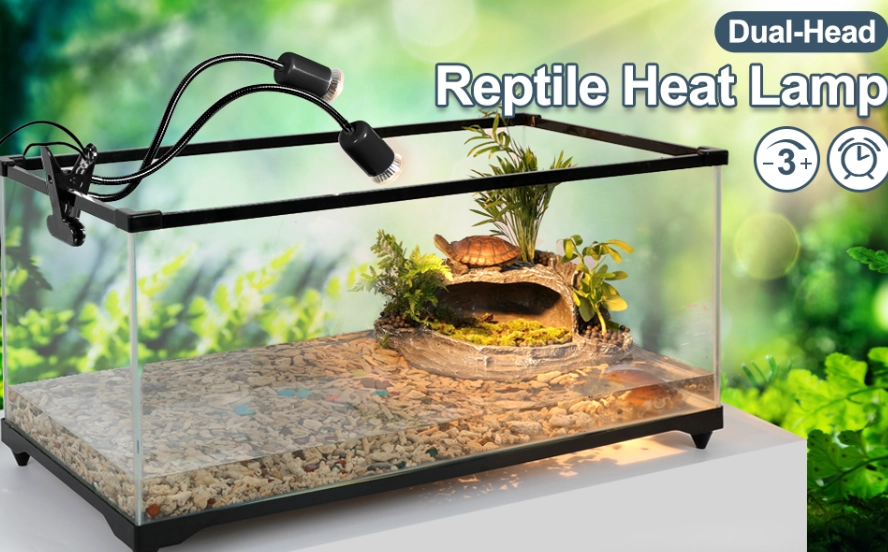 reptile heat lamp reptile heat lamp