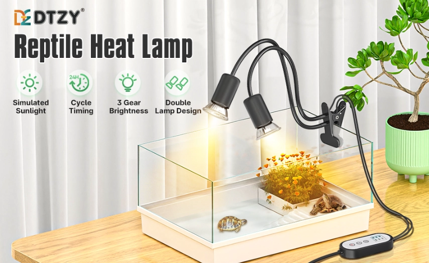 reptile heating setup reptile heating setup