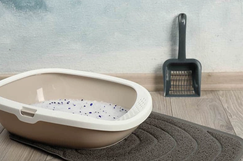 clumping clay litter problems clumping clay litter problems