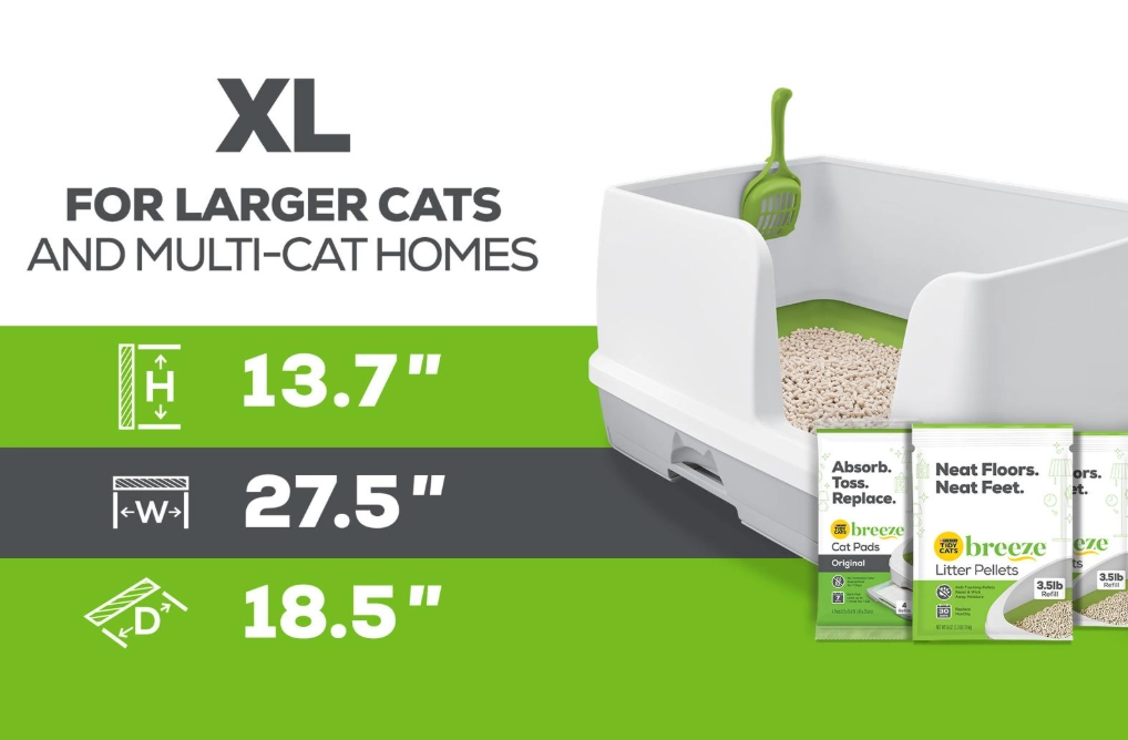 cat litter types