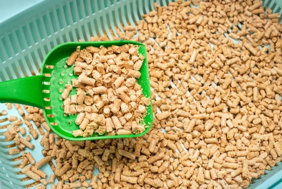 clumping cat litter for indoor cats