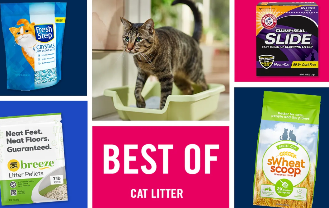 clumping cat litter for indoor cats clumping cat litter for indoor cats