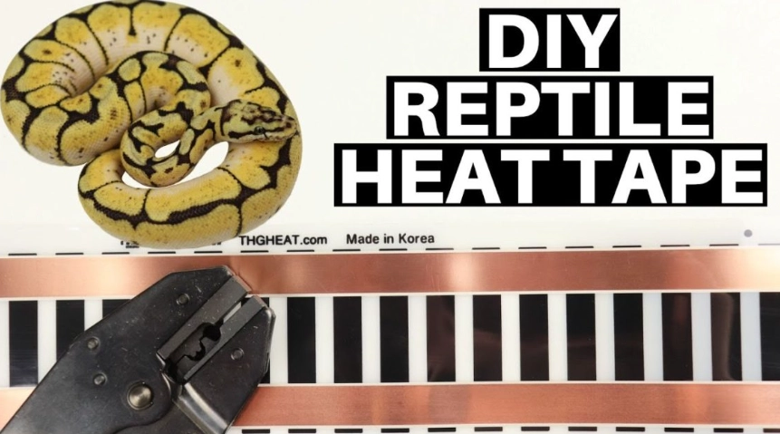 DIY reptile heating DIY reptile heating