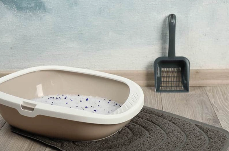 best cat litter for odor control best cat litter for odor control