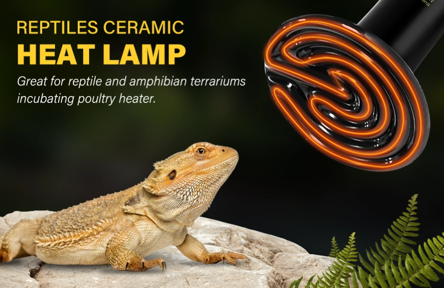 Reptile Heat Lamp