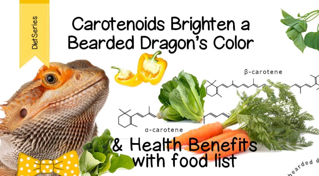 dangerous foods for bearded dragons dangerous foods for bearded dragons