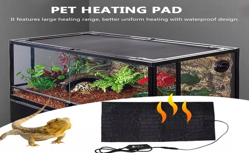 best reptile heating lamp best reptile heating lamp