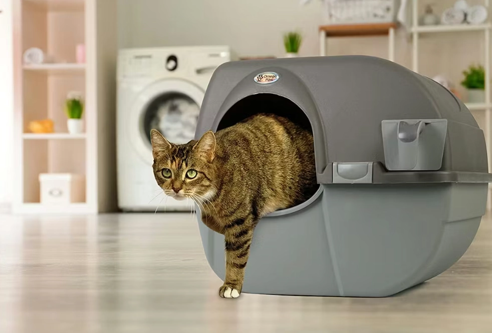 odor control cat litter odor control cat litter