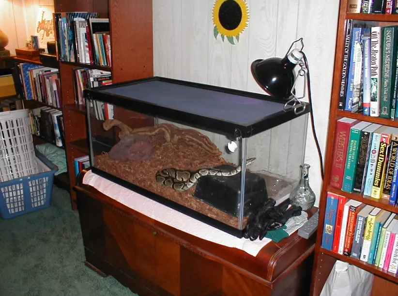 reptile tank temperature