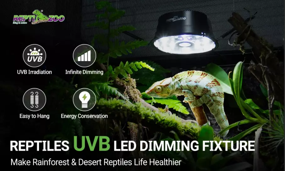 reptile heating options