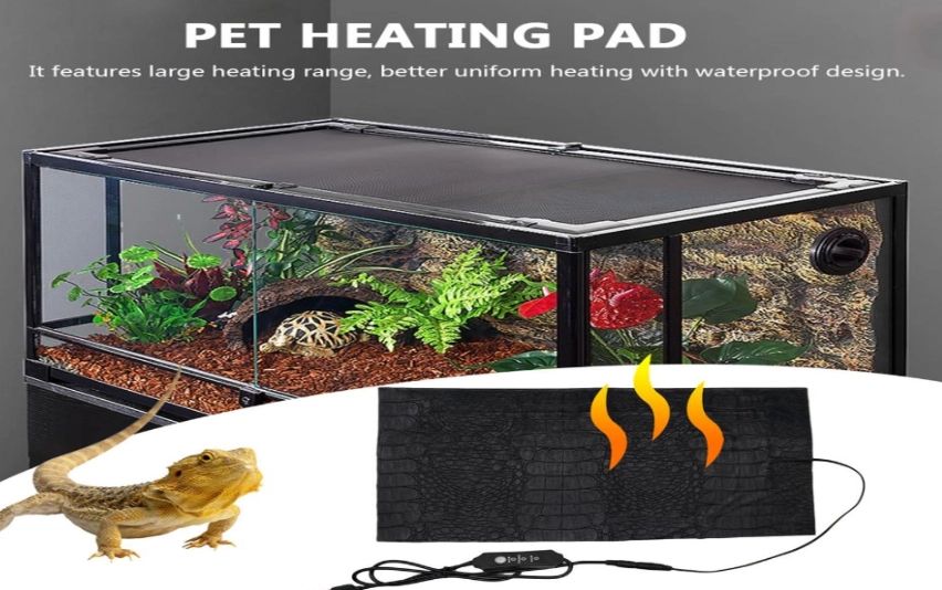 reptile heating guide reptile heating guide