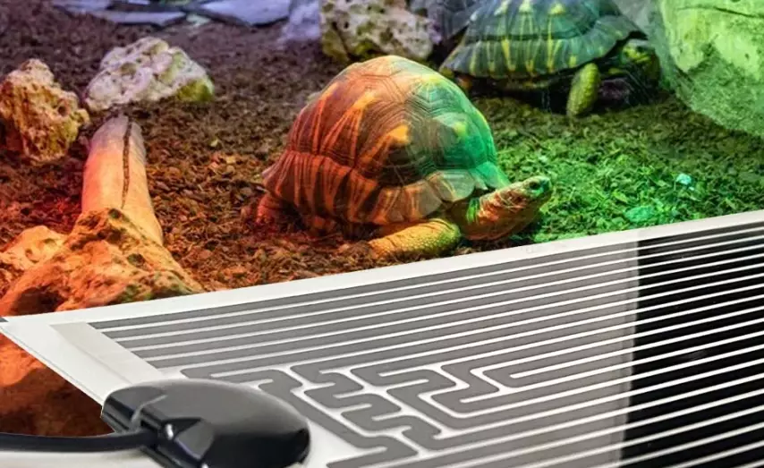 DIY reptile heating DIY reptile heating