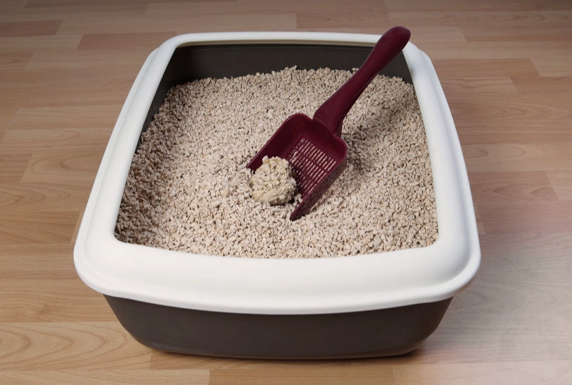 clumping cat litter