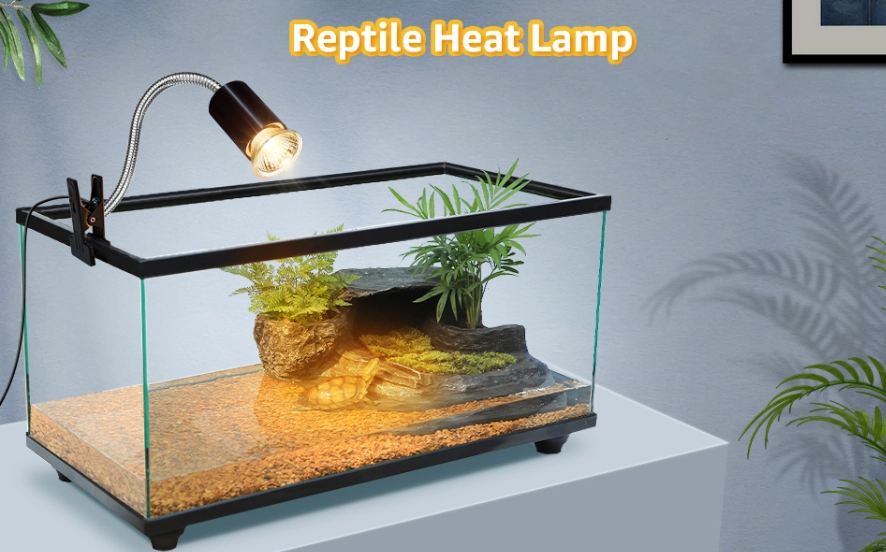 how to set up reptile heat lamp how to set up reptile heat lamp