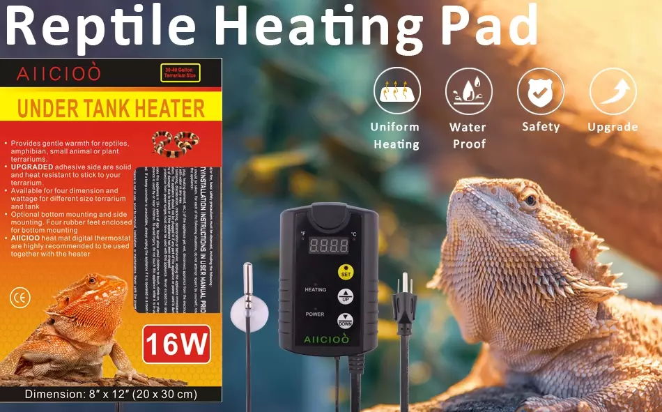 reptile thermostat control