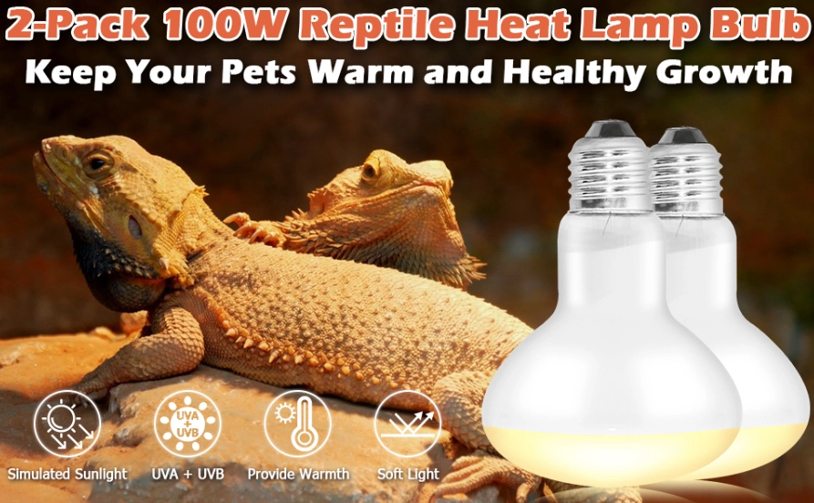 reptile heating options reptile heating options