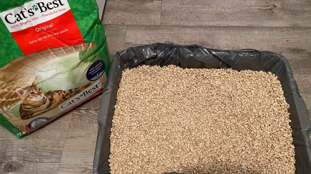 indoor cat litter reviews indoor cat litter reviews