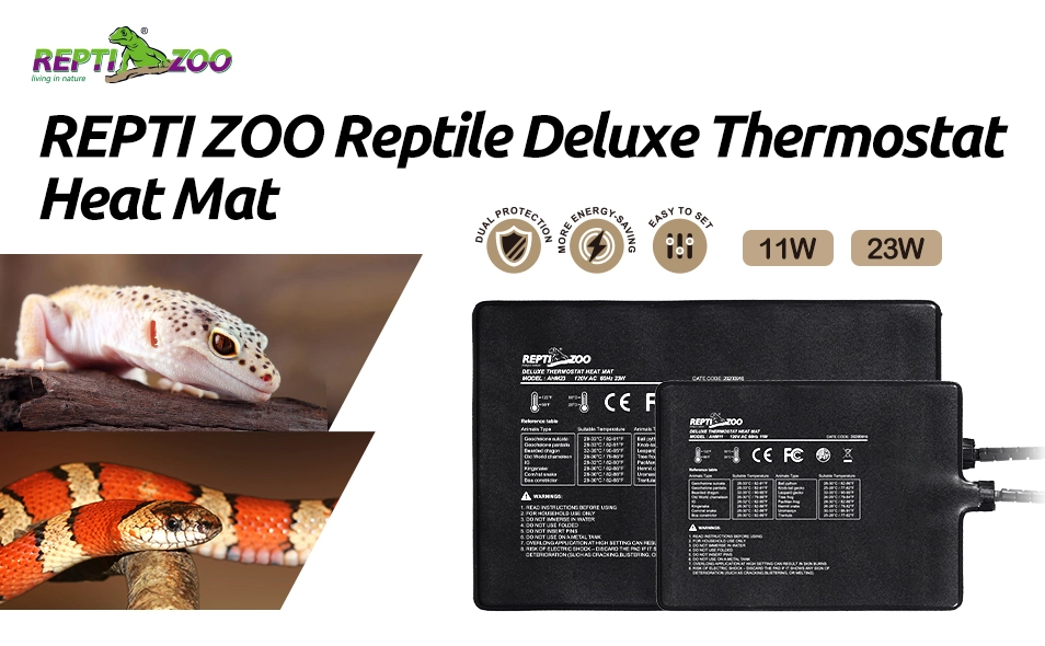reptile heating setup reptile heating setup