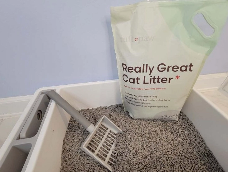 best cat litter for health best cat litter for health