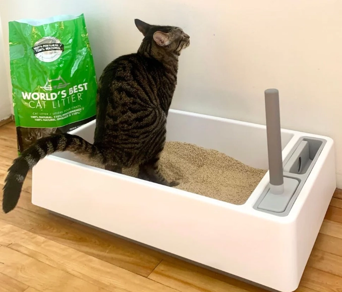 non toxic cat litter non toxic cat litter