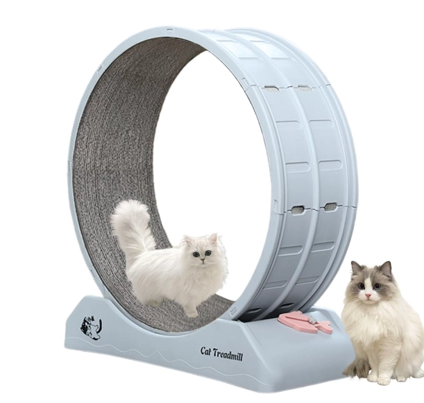 indoor cat weight loss