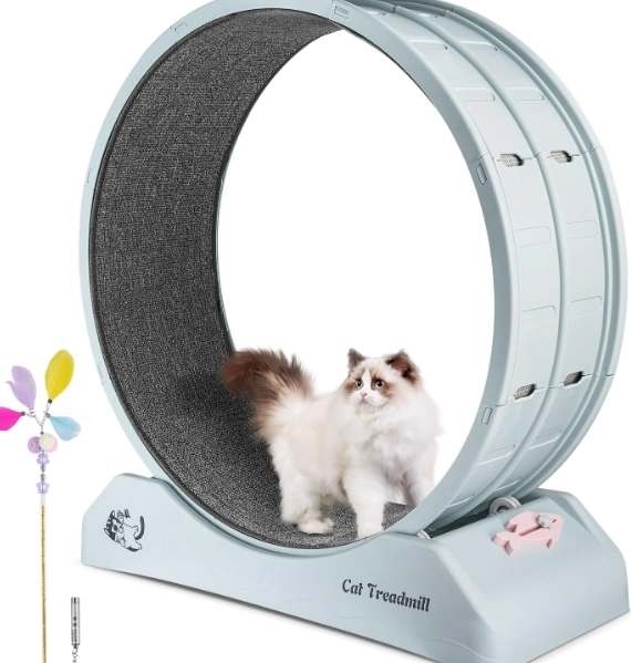 indoor cat weight loss