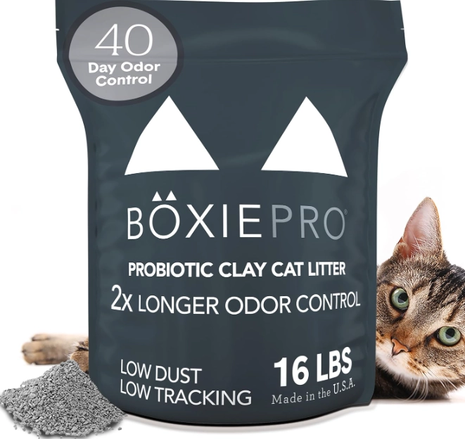 best cat litter for odor control