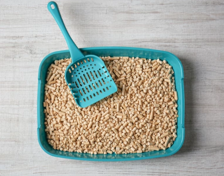 dust free cat litter