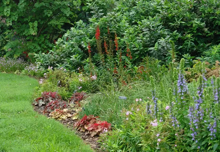 backyard wildlife habitat backyard wildlife habitat