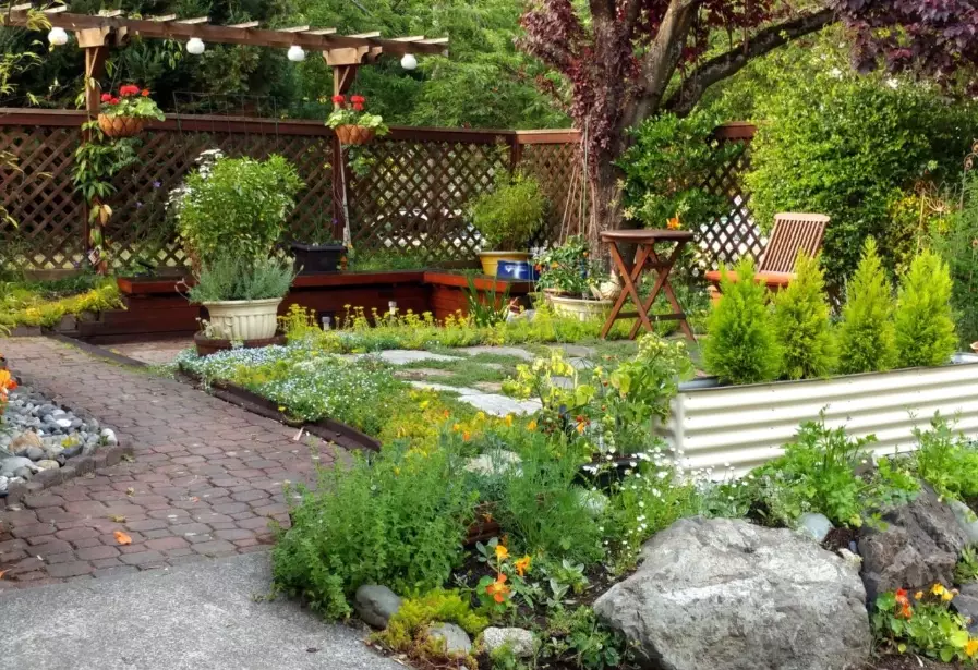 backyard wildlife habitat backyard wildlife habitat