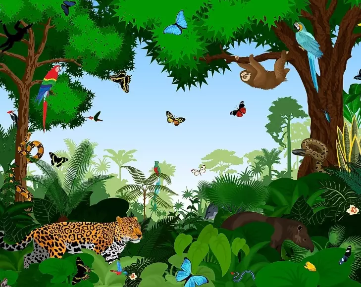 habitat requirements
