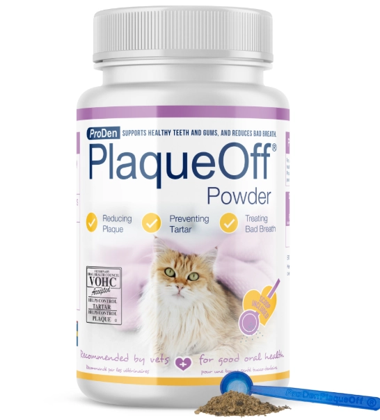cat dental powder