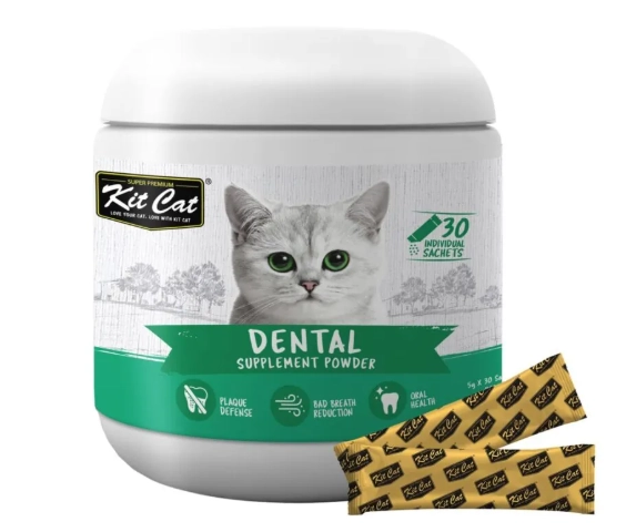 best cat dental powder