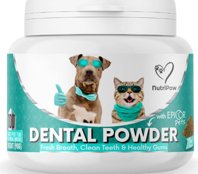 how to use cat dental powder